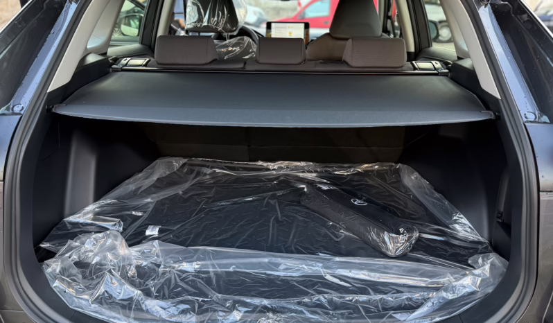 
TOYOTA RAV4 HYBRID full									